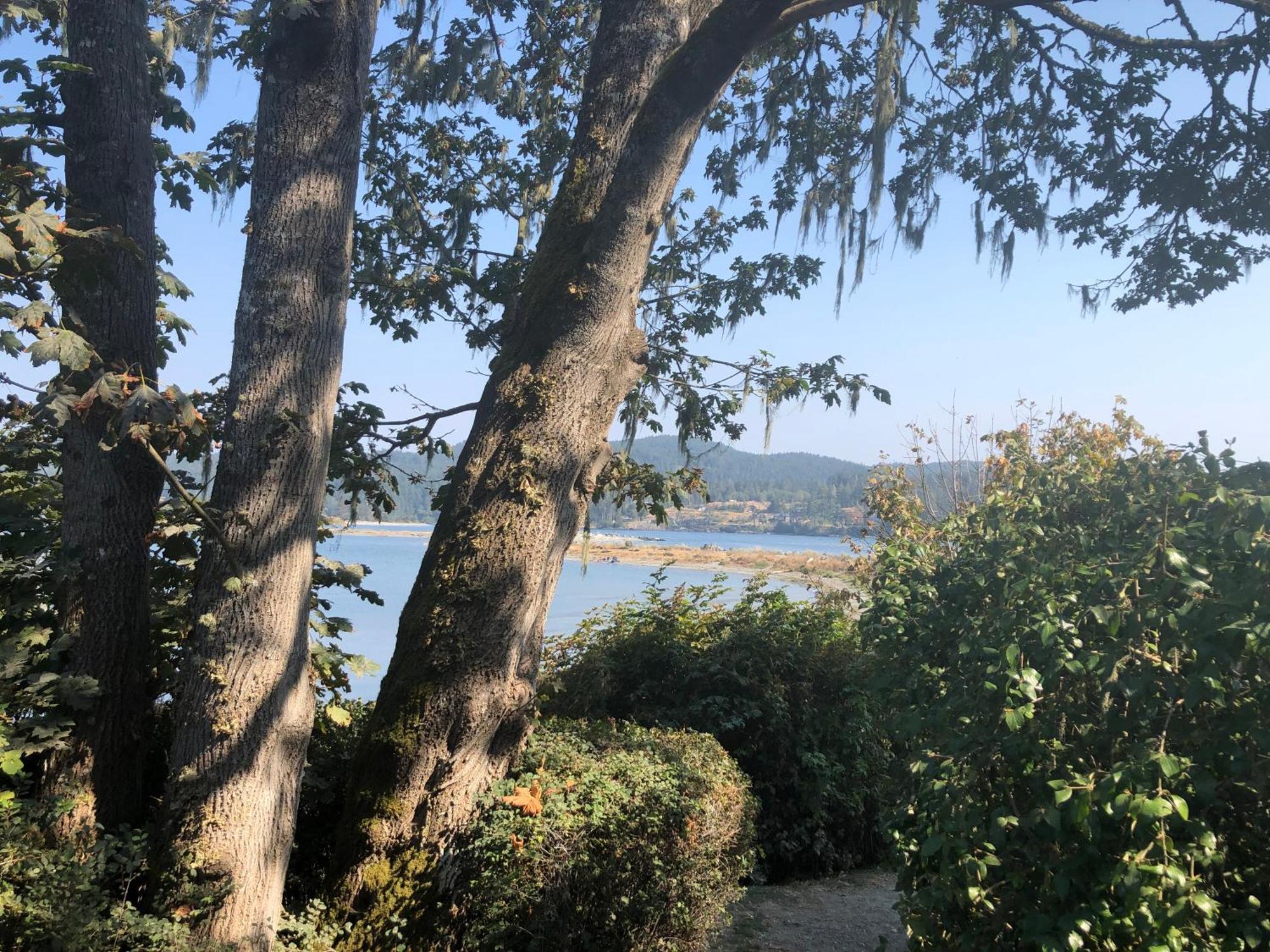 Seagull Studio Vacation Suite 苏克 外观 照片
